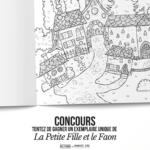 Participation au concours instructions pour suivre @eclipshead et @amandine_jung et tenter de gagner le livre.