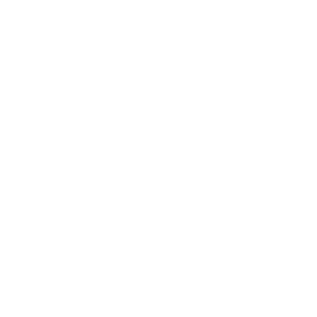 NAME Festival